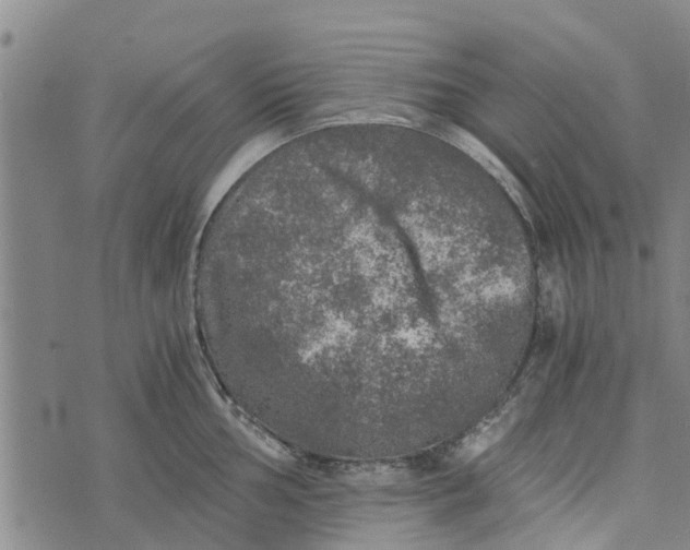 X0000073751002200608241342