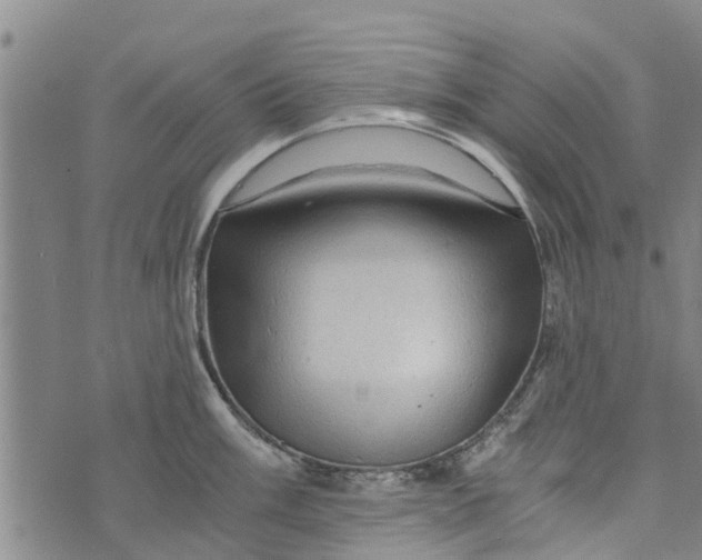 X0000073751003200608241342