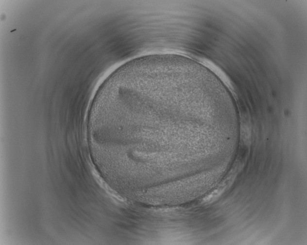 X0000073751004200608241342