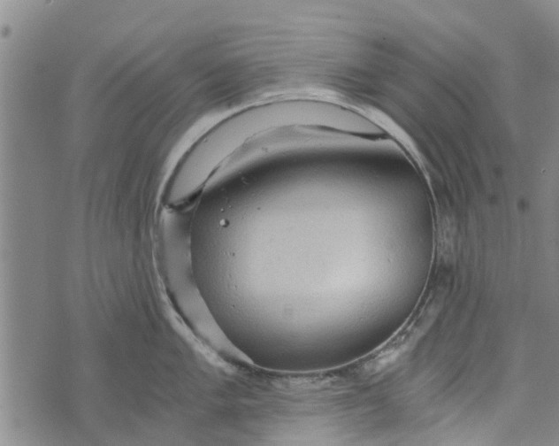 X0000073751005200608241342