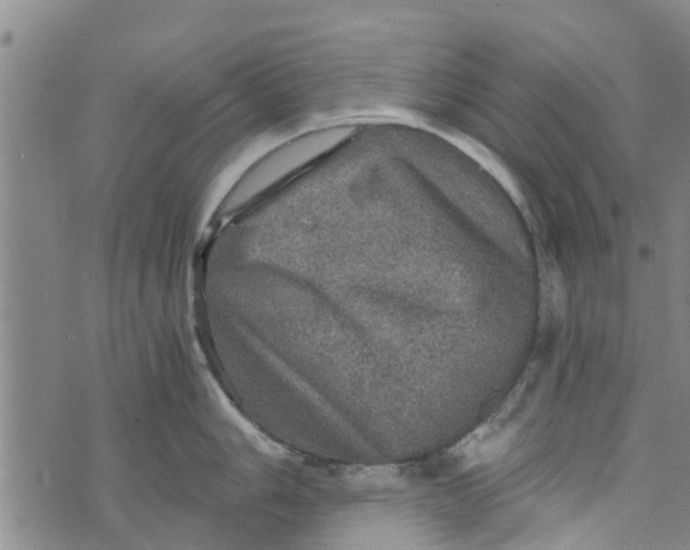 X0000073751006200608241342