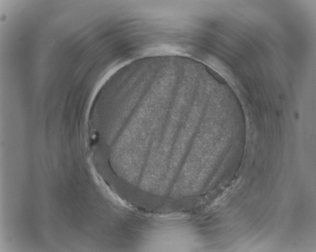 X0000073751008200608241342