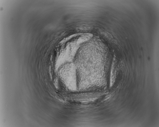 X0000073751009200608241341