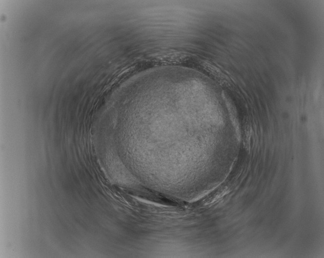 X0000073751010200608241341