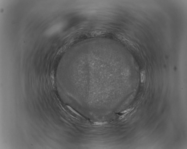 X0000073751011200608241341