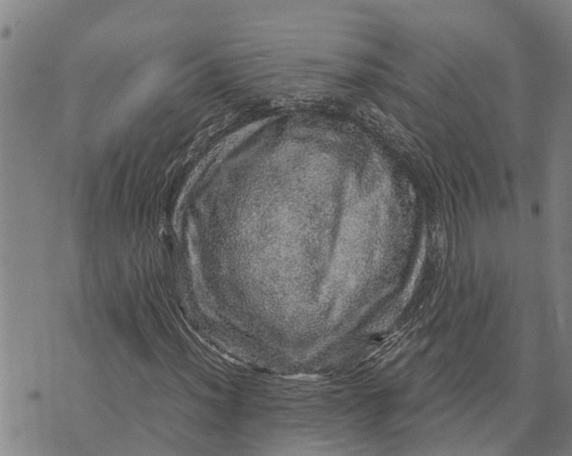 X0000073751012200608241341