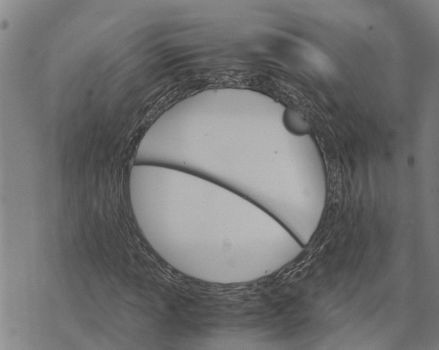 X0000073751013200608241341