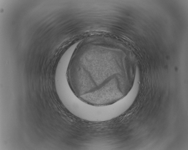 X0000073751014200608241341