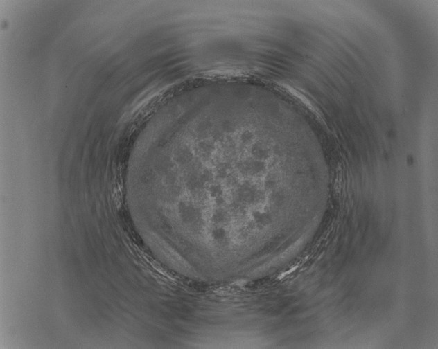 X0000073751015200608241341