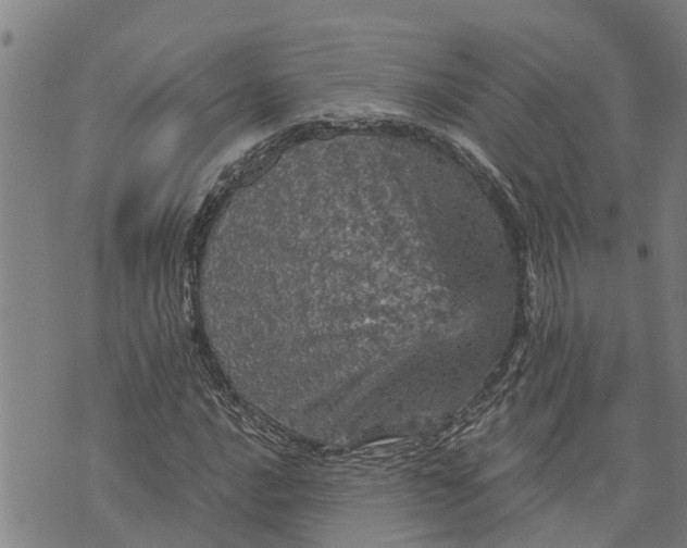 X0000073751016200608241341