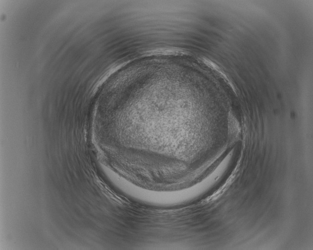 X0000073751017200608241342