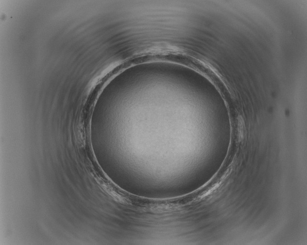 X0000073751018200608241342