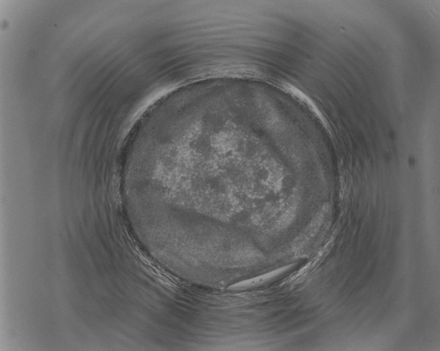 X0000073751019200608241342