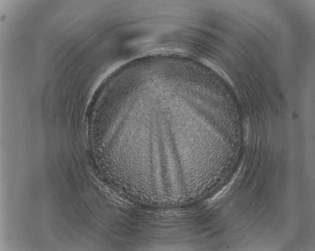 X0000073751021200608241342