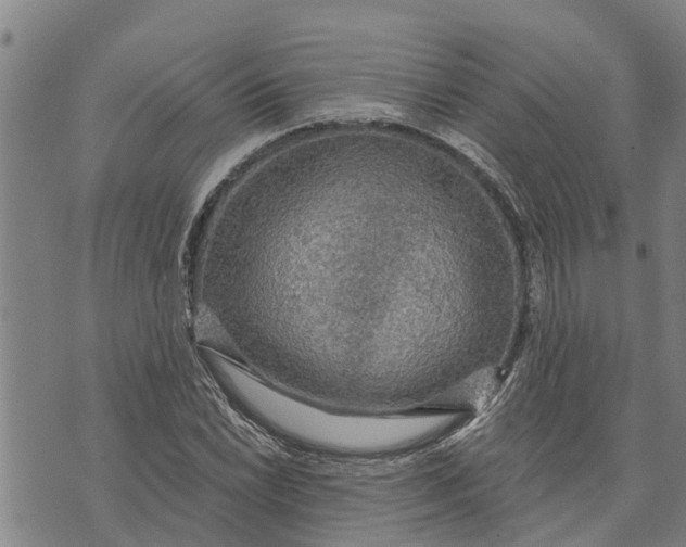 X0000073751022200608241342