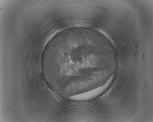 X0000073751023200608241342