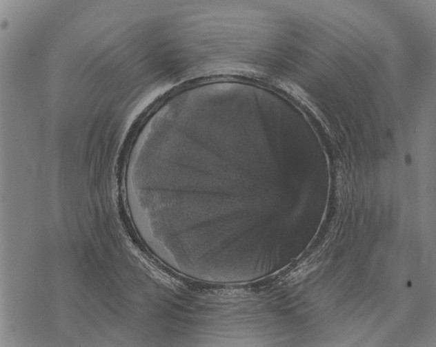 X0000073751024200608241342