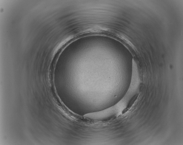 X0000073751026200608241342