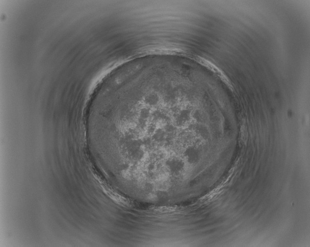 X0000073751027200608241342