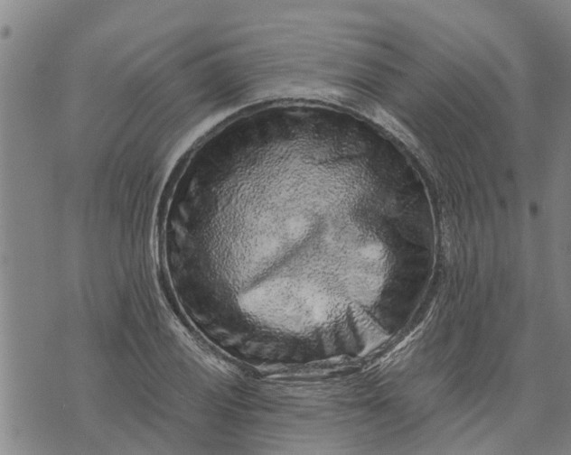 X0000073751028200608241342