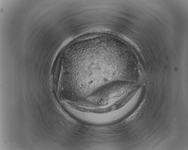 X0000073751029200608241342