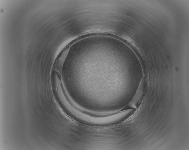 X0000073751030200608241342