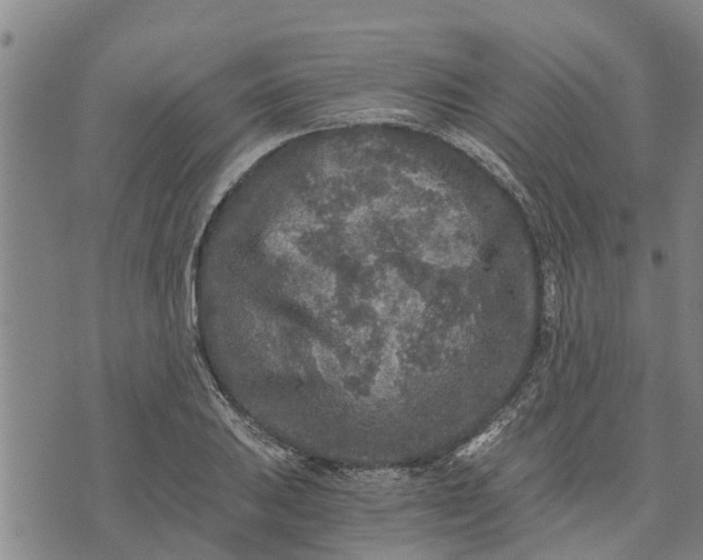 X0000073751031200608241342