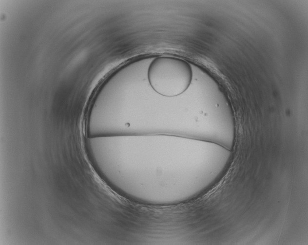 X0000073751032200608241342