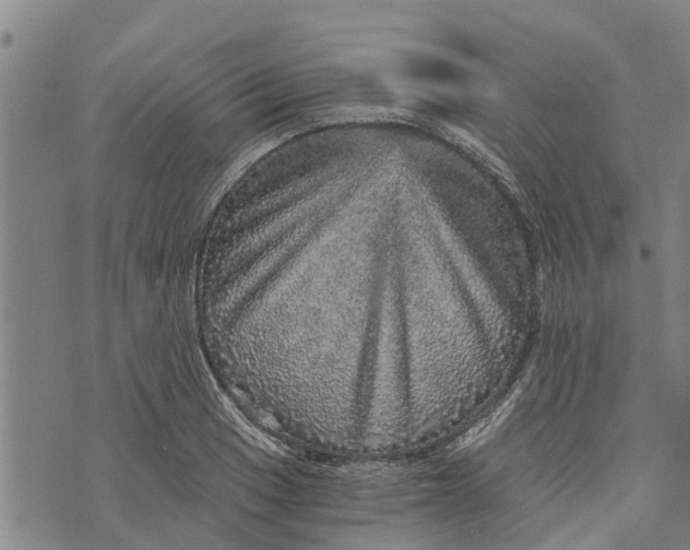 X0000073751033200608241342