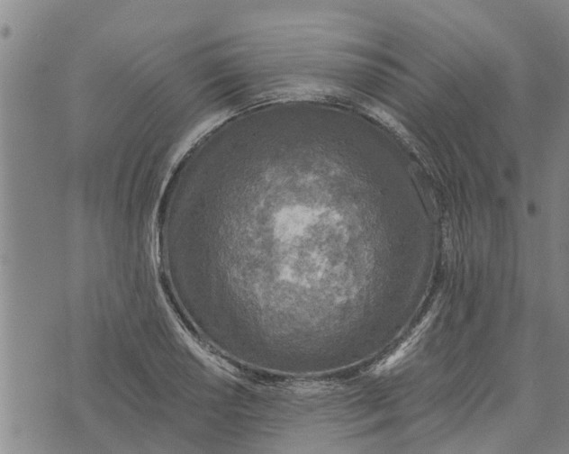 X0000073751034200608241342