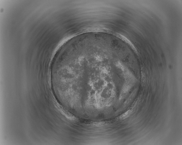 X0000073751035200608241342