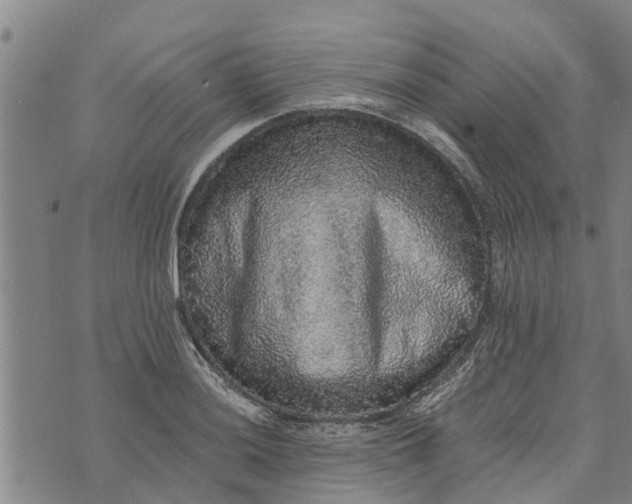 X0000073751036200608241342