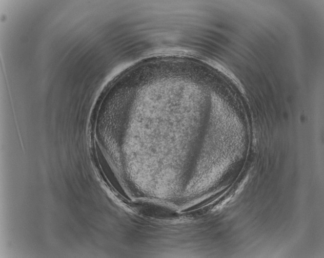 X0000073751037200608241342