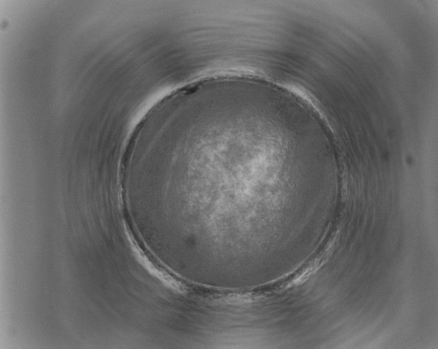 X0000073751038200608241342