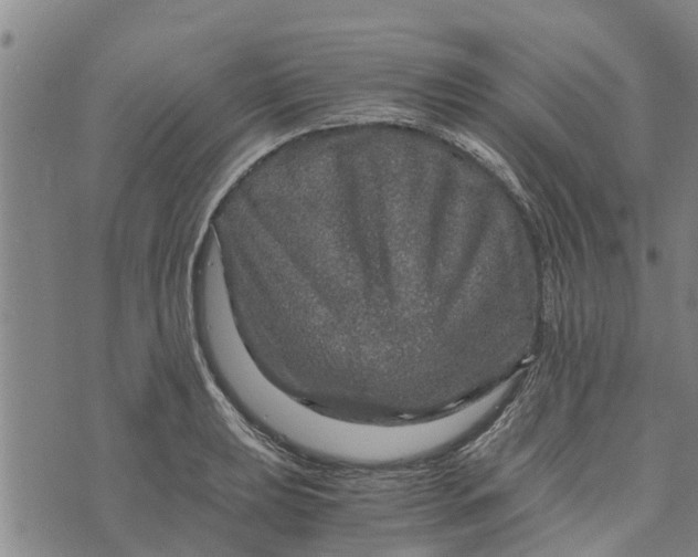 X0000073751039200608241342