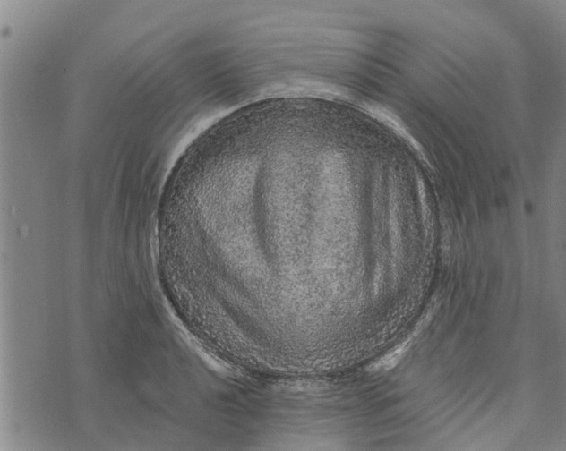 X0000073751040200608241342