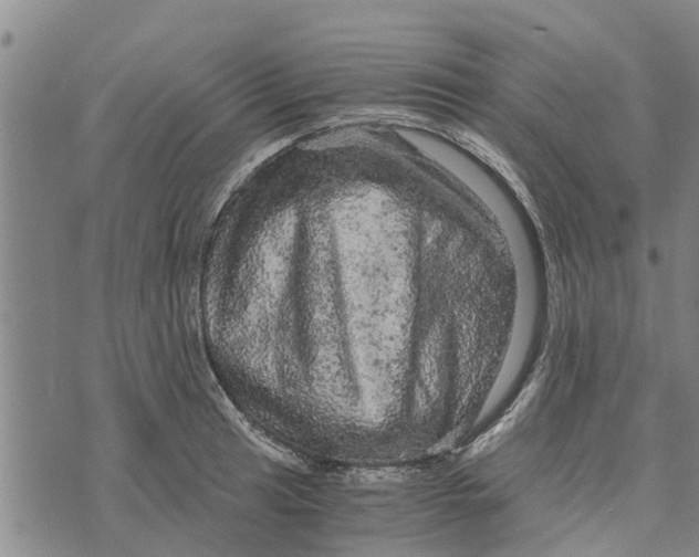 X0000073751041200608241342