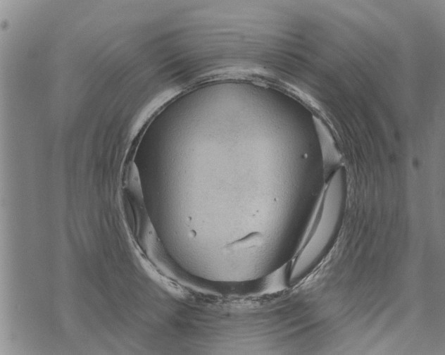 X0000073751042200608241342