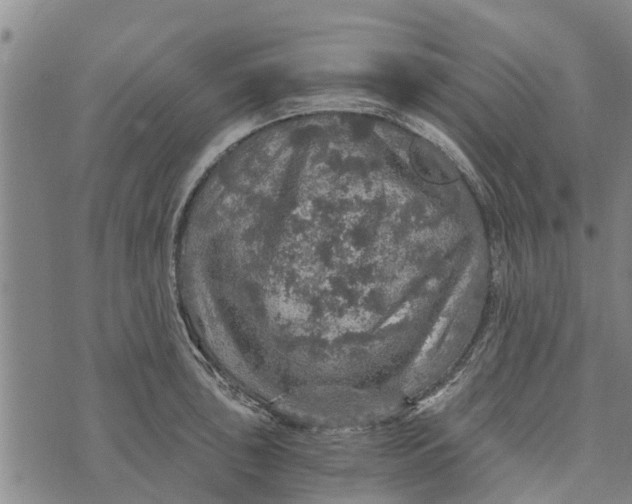 X0000073751043200608241342