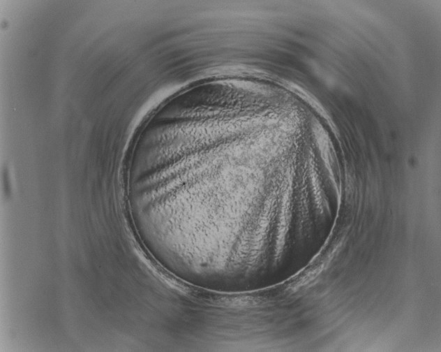 X0000073751045200608241342