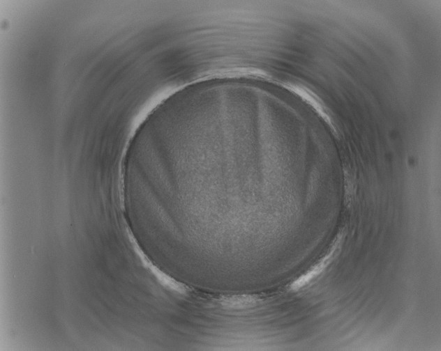 X0000073751046200608241342