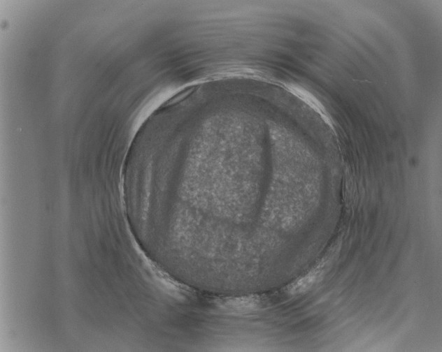 X0000073751047200608241342