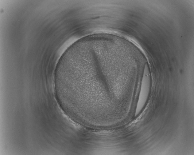 X0000073751048200608241342