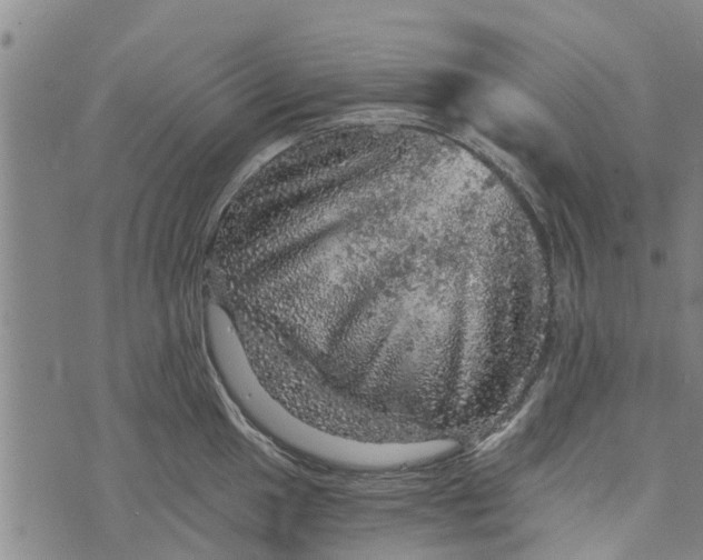 X0000073751049200608241342