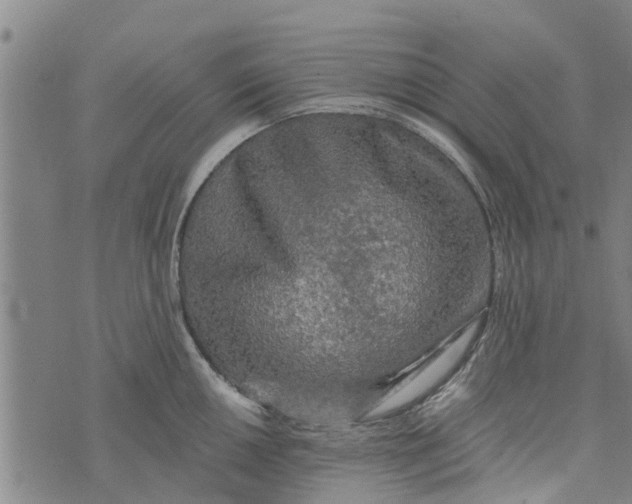 X0000073751050200608241342