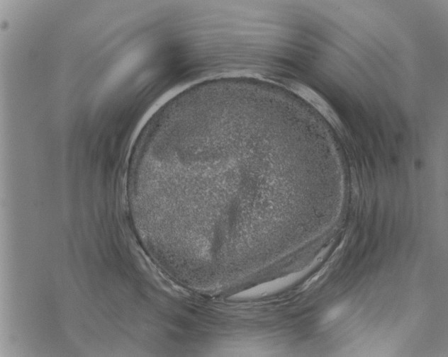 X0000073751052200608241342