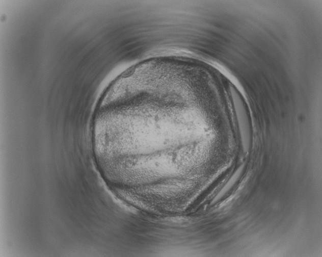 X0000073751053200608241342