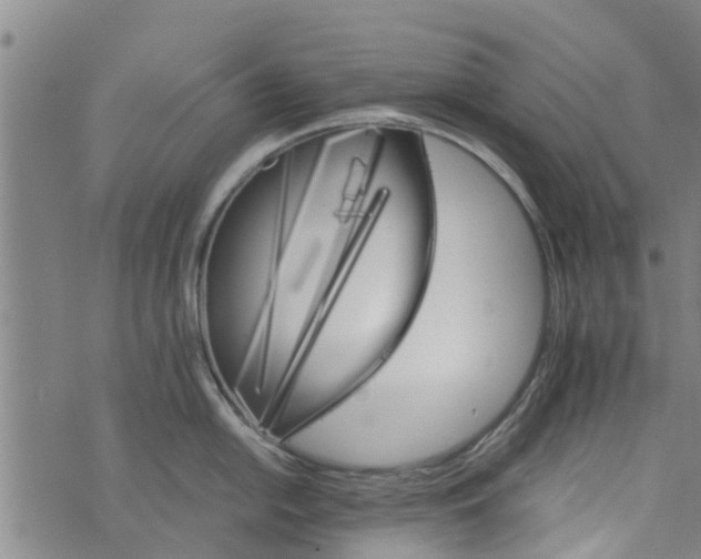 X0000073751054200608241342