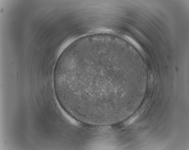 X0000073751055200608241342