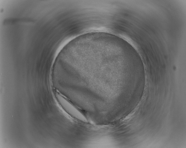 X0000073751056200608241342